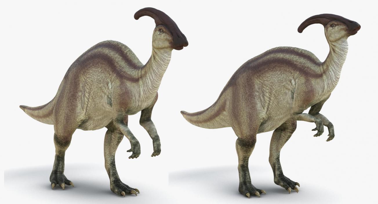 Rigged Dinosaurs Collection 4 3D model