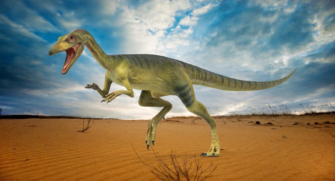 Rigged Dinosaurs Collection 4 3D model