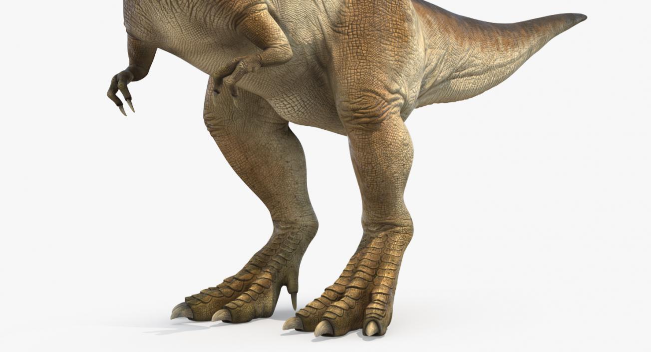 Rigged Dinosaurs Collection 4 3D model