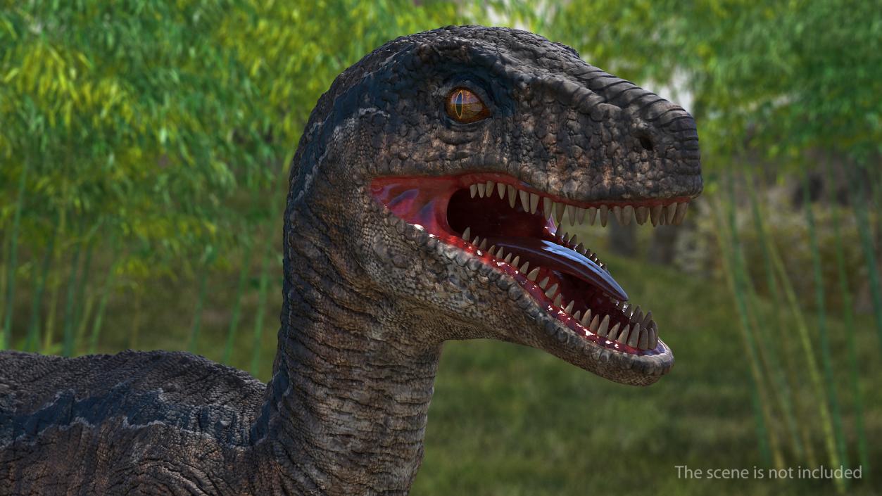 Rigged Dinosaurs Collection 4 3D model