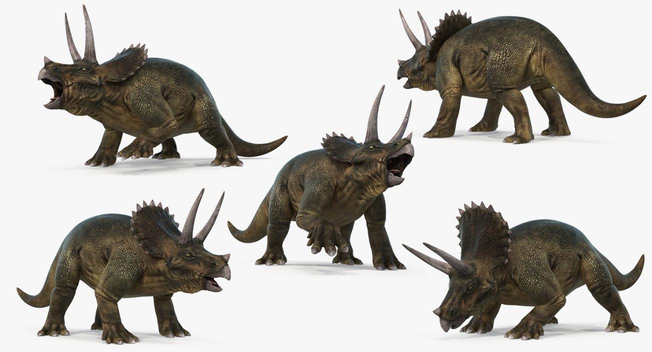 Rigged Dinosaurs Collection 4 3D model