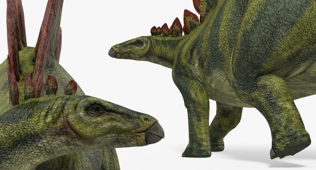 Rigged Dinosaurs Collection 4 3D model