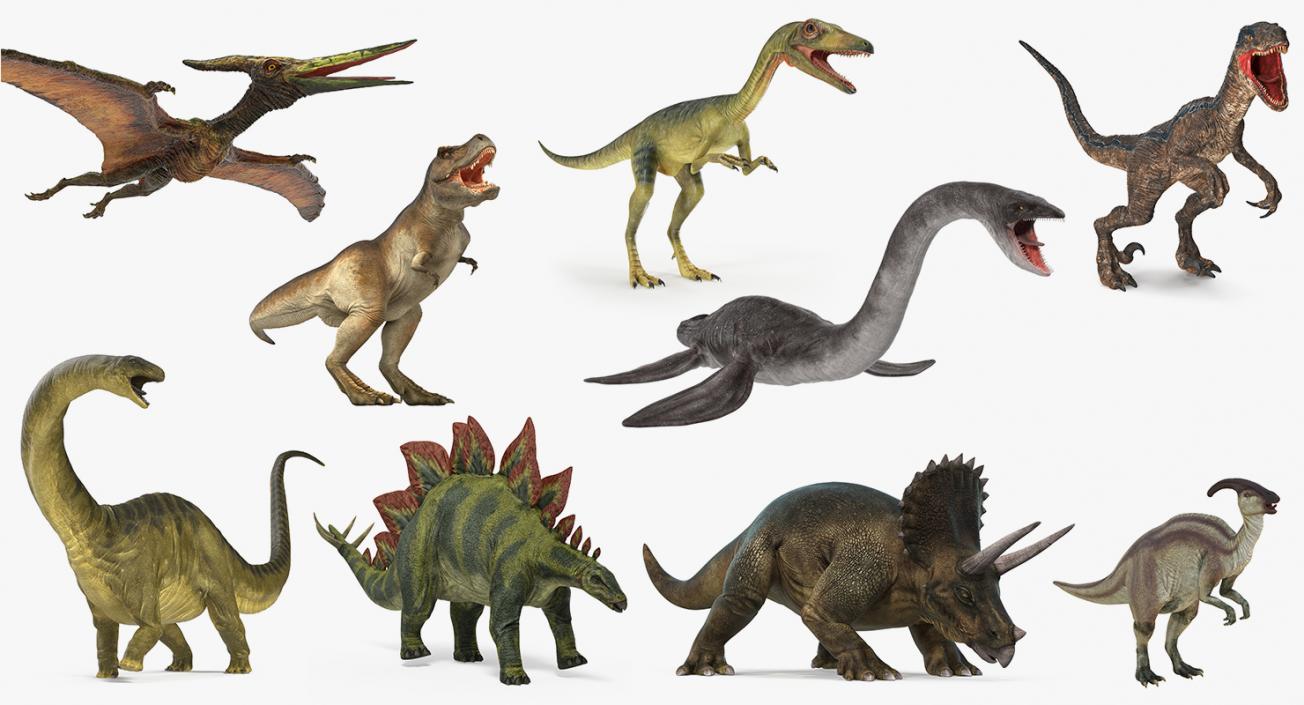 Rigged Dinosaurs Collection 4 3D model