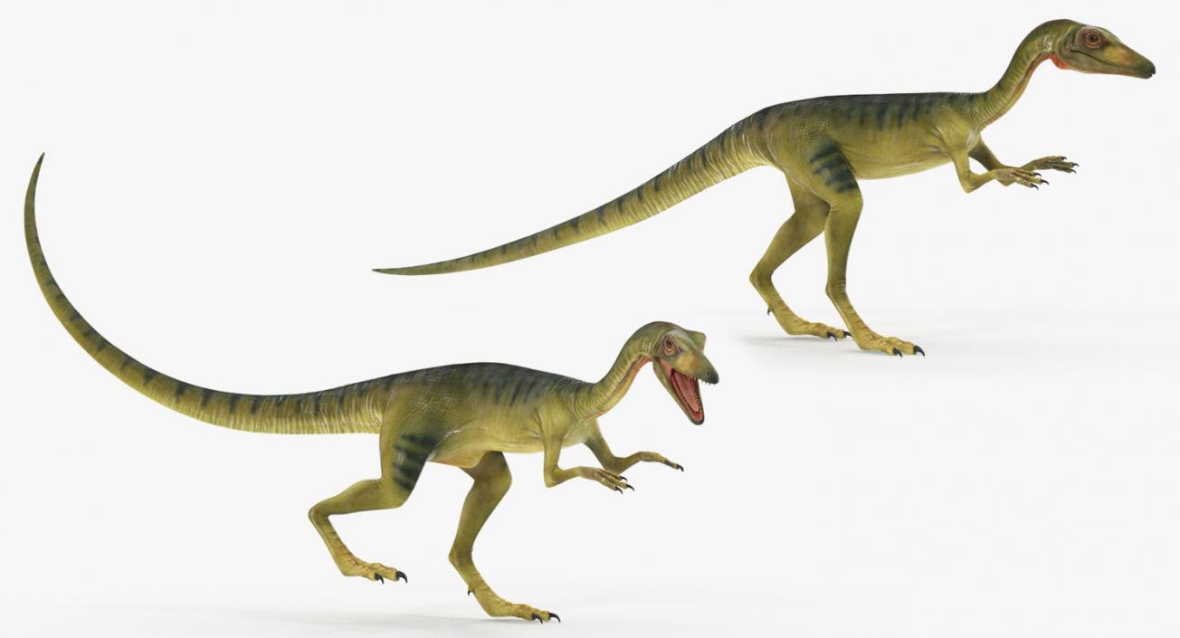 Rigged Dinosaurs Collection 4 3D model