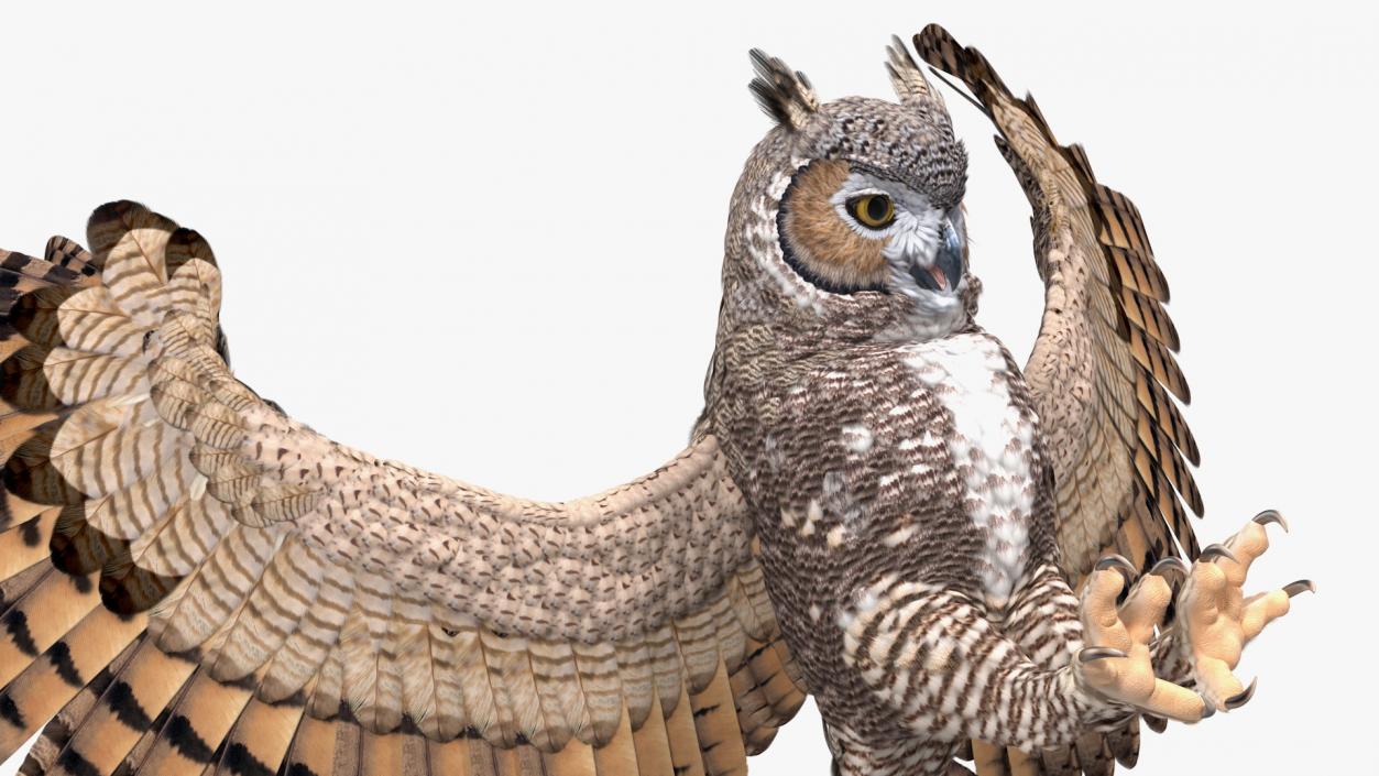 3D Great Horned Owl Attacking Pose