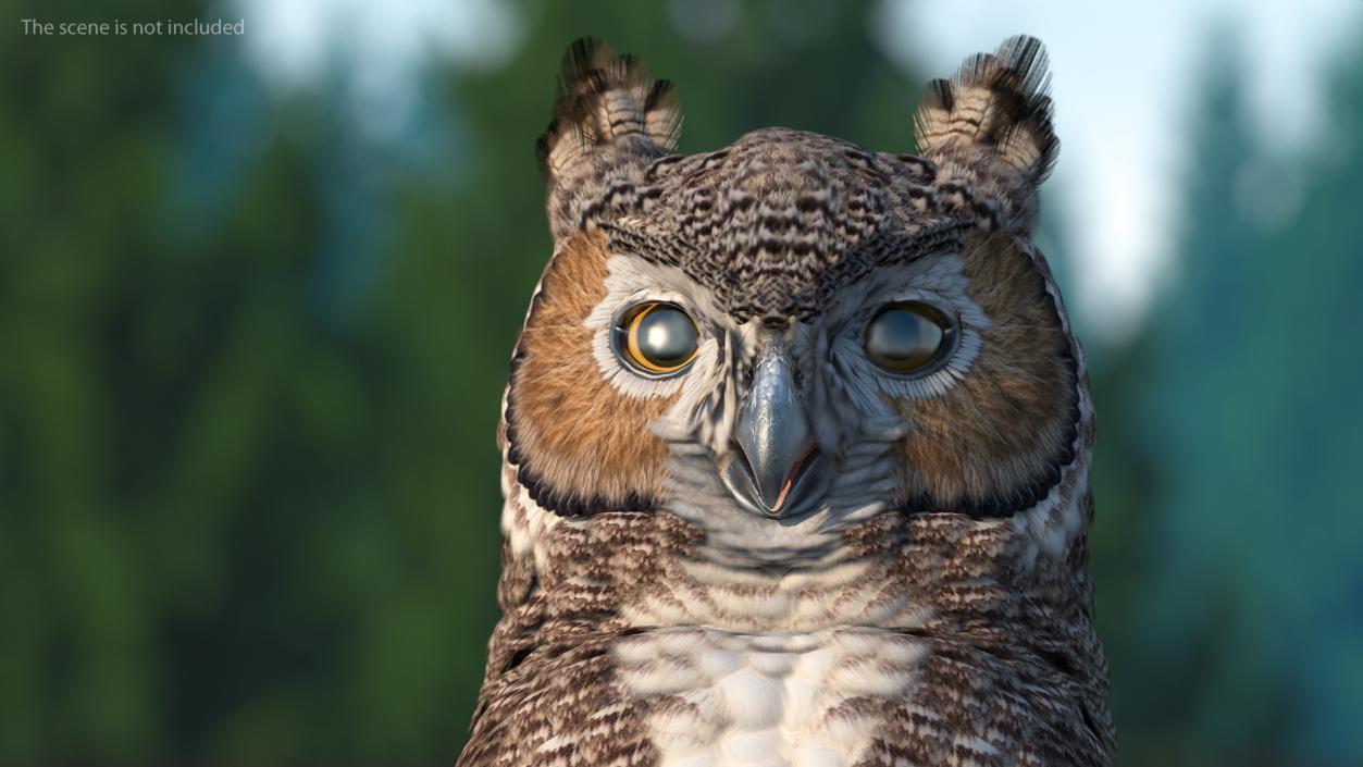 3D Great Horned Owl Attacking Pose