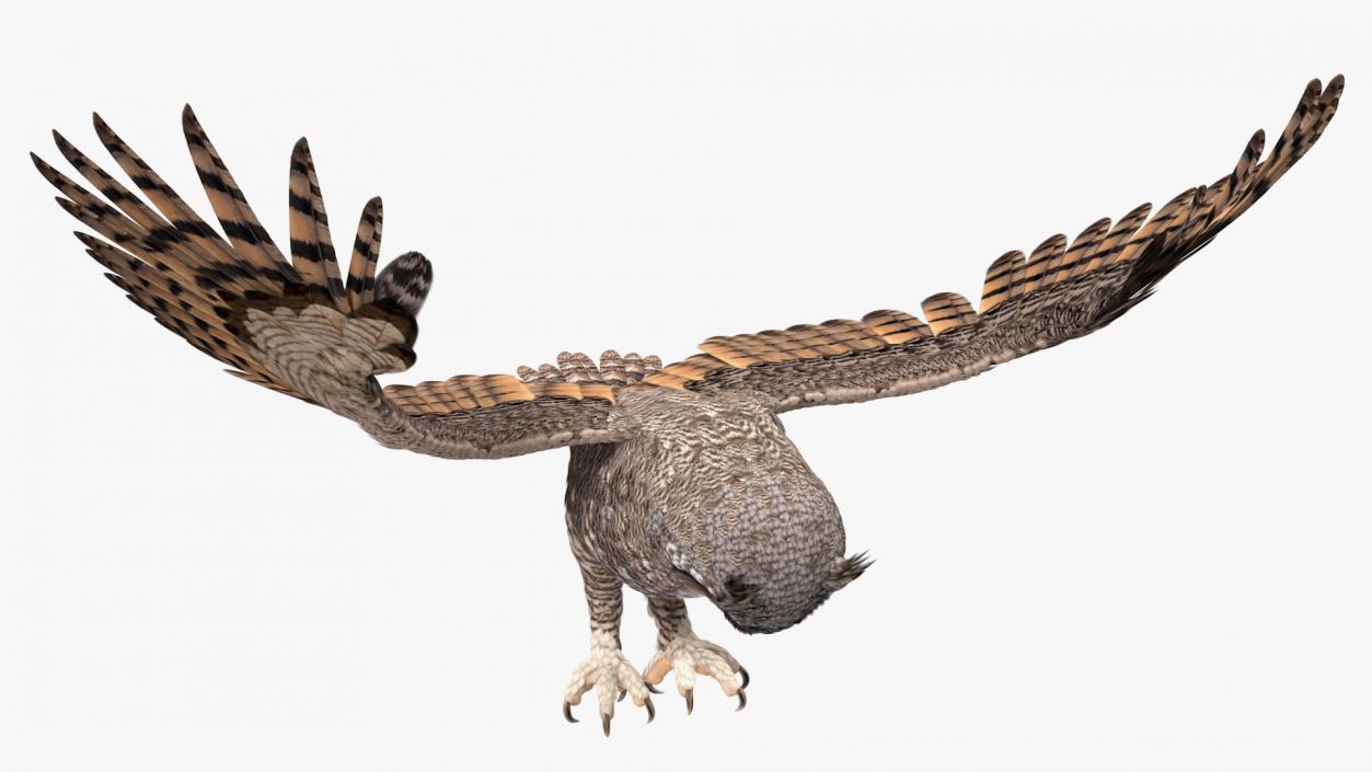 3D Great Horned Owl Attacking Pose