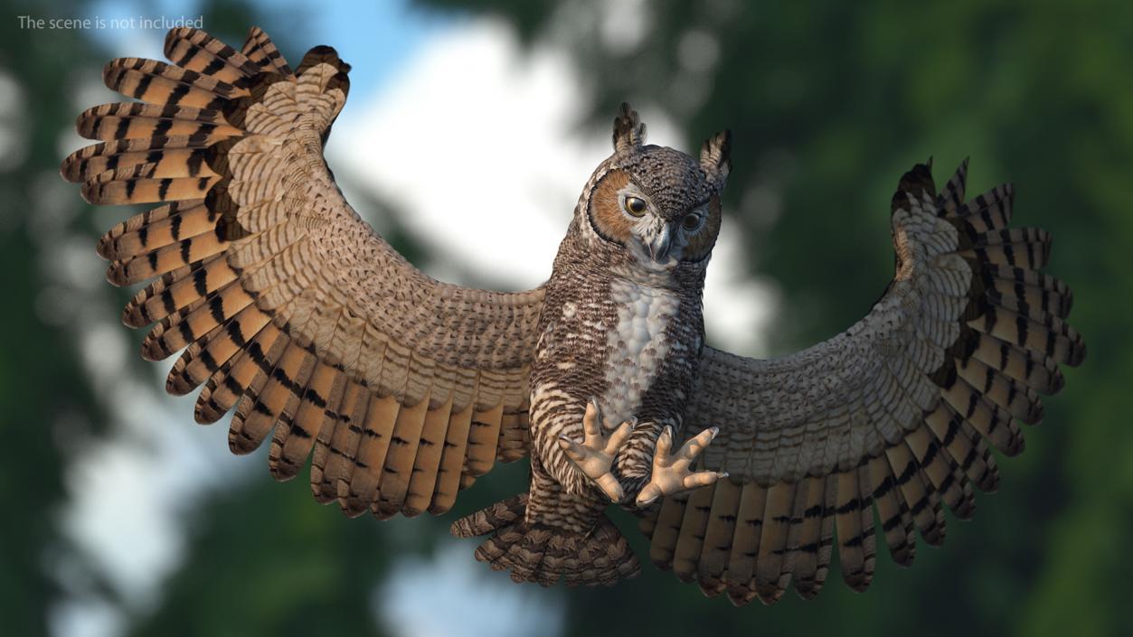 3D Great Horned Owl Attacking Pose