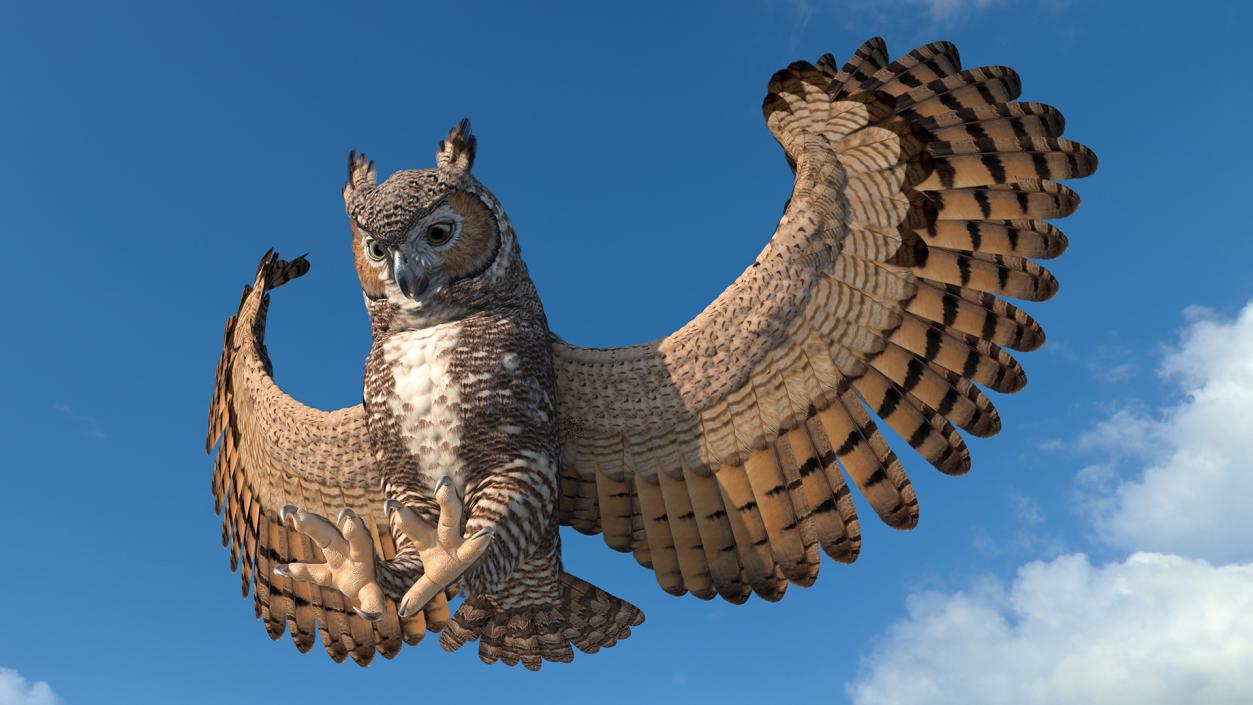 3D Great Horned Owl Attacking Pose