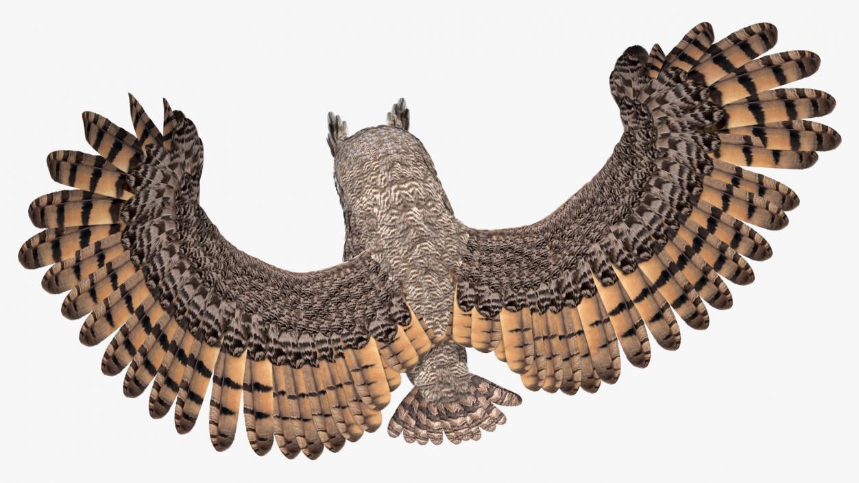 3D Great Horned Owl Attacking Pose