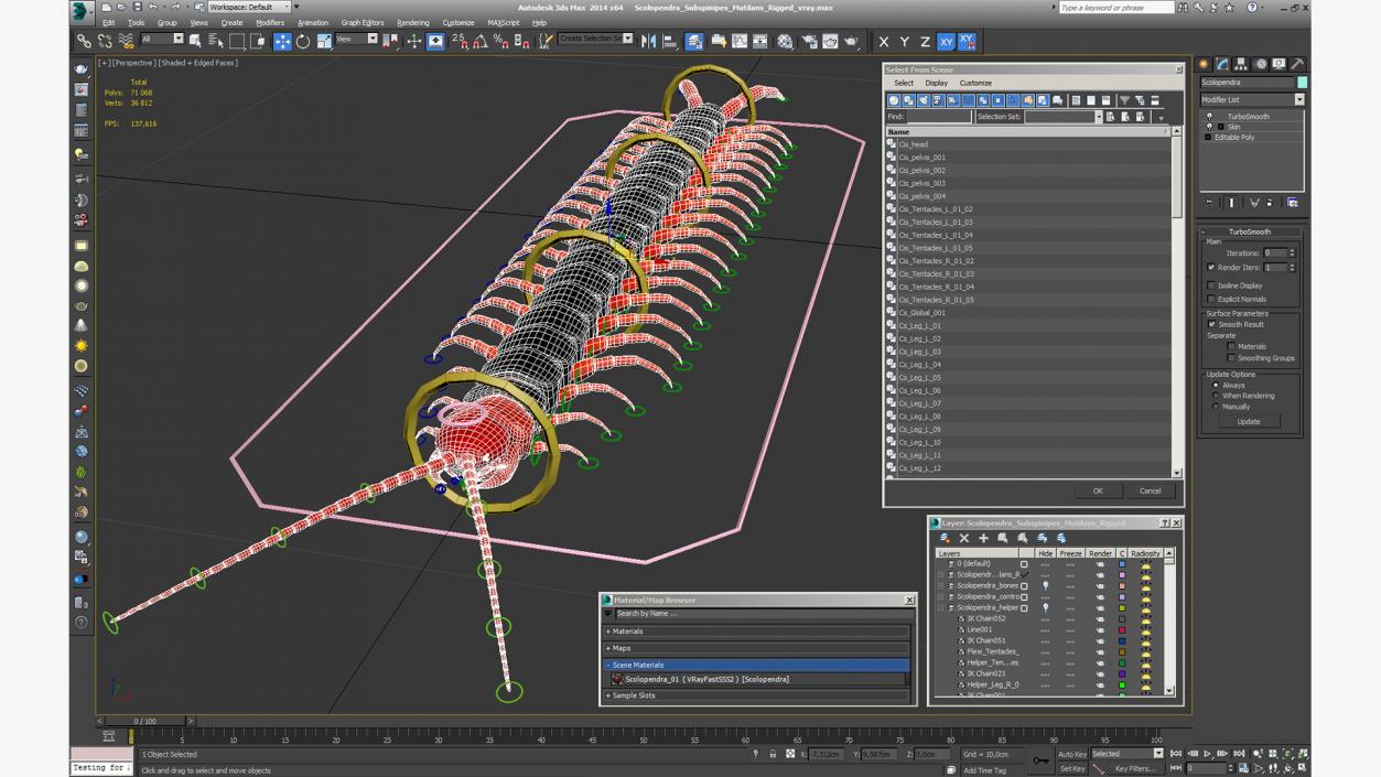 Scolopendra Subspinipes Mutilans Rigged 3D model