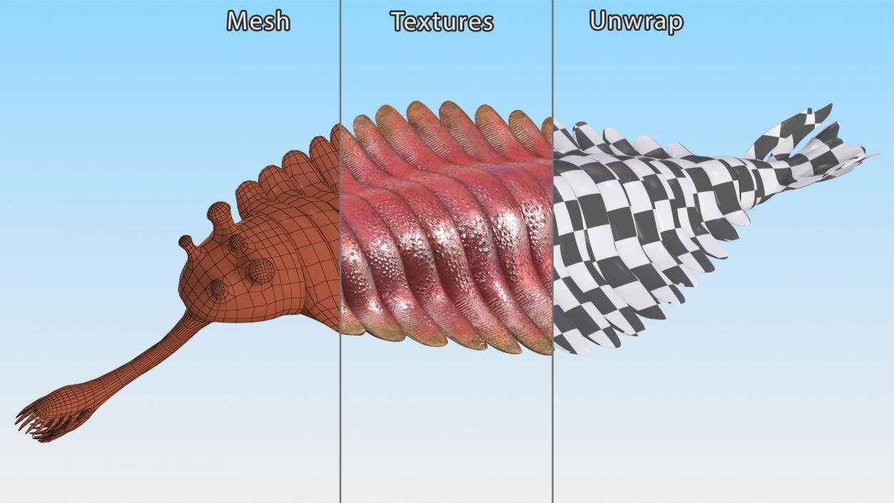 3D model Pink Opabinia Rigged