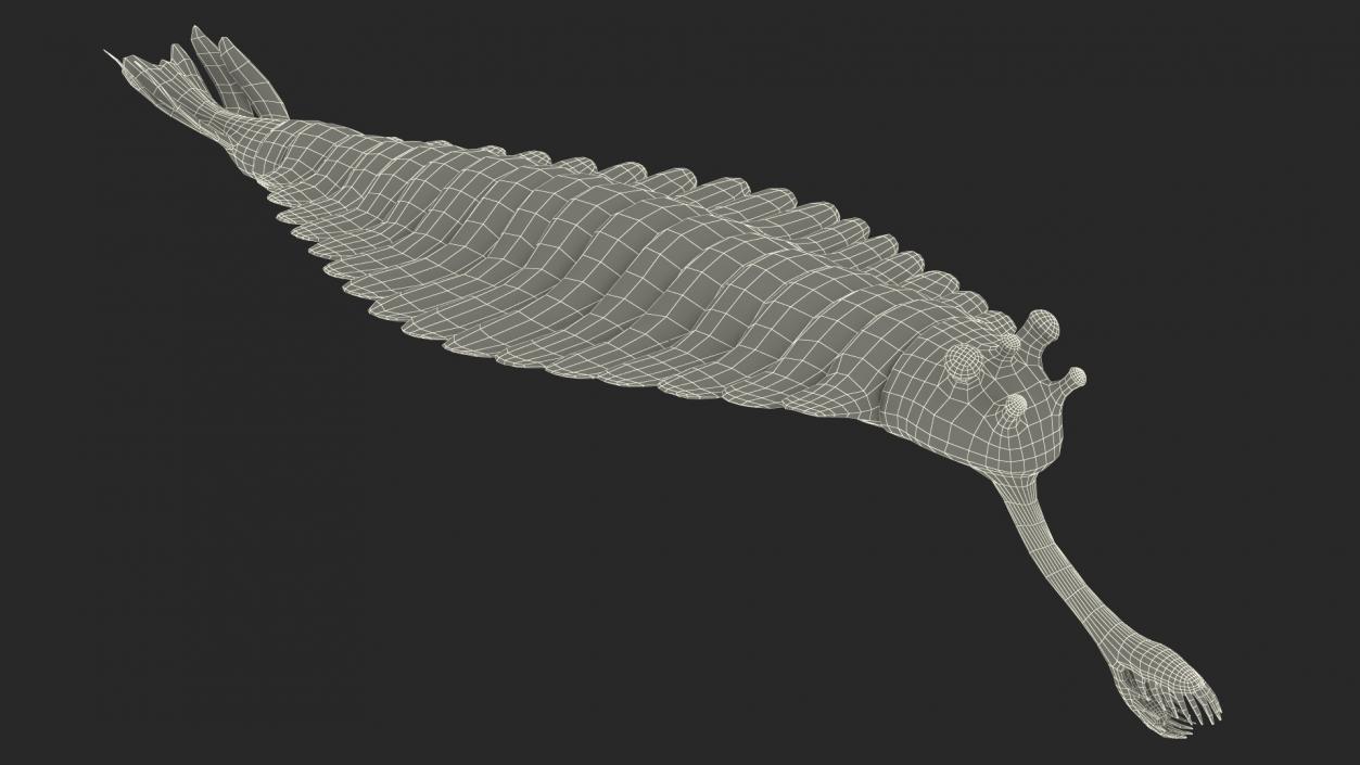 3D model Pink Opabinia Rigged