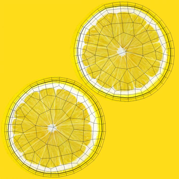 3D Lemon Collection 2 model