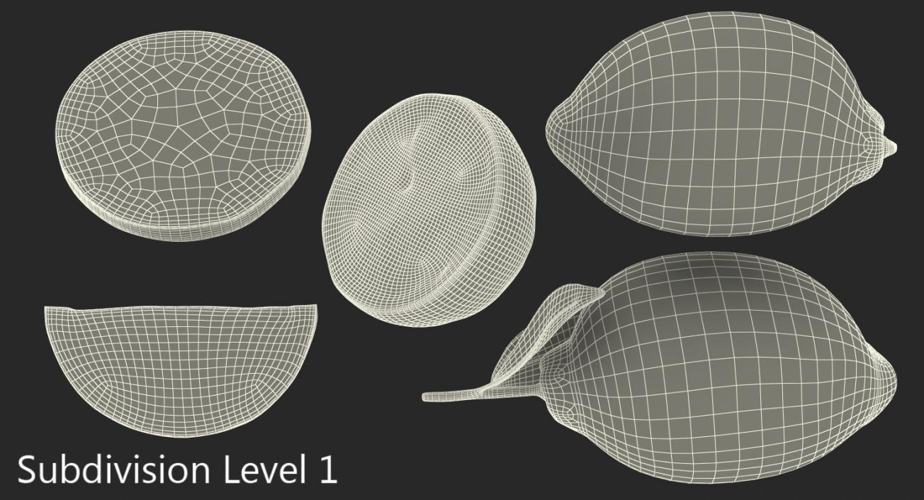 3D Lemon Collection 2 model