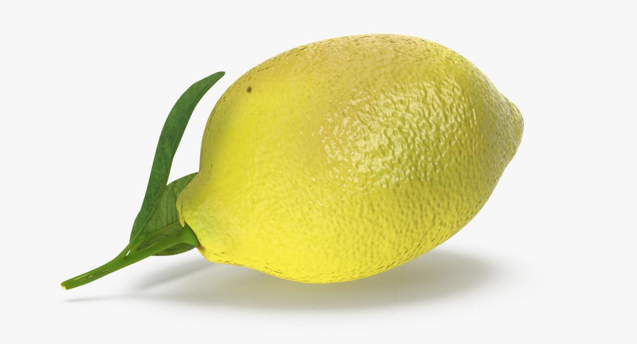 3D Lemon Collection 2 model