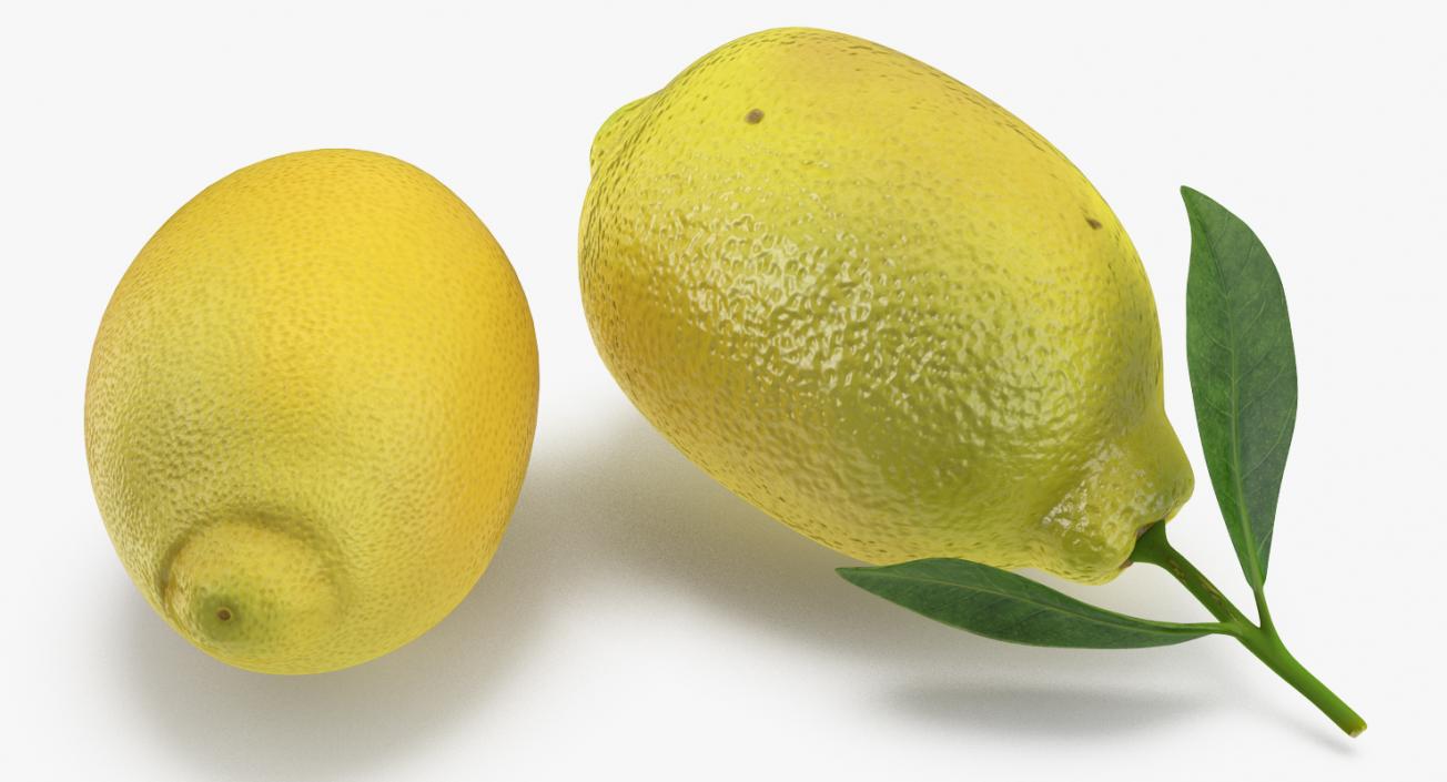 3D Lemon Collection 2 model