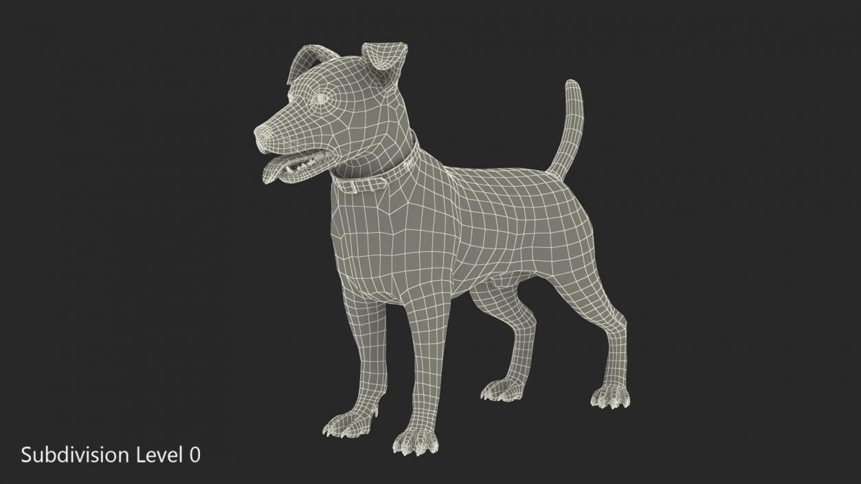 Jack Russell Terrier Spotted Attention Pose Fur 3D