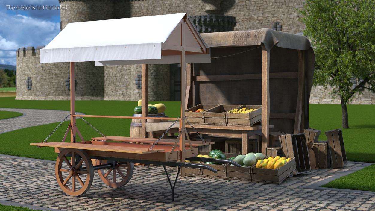 Medieval Market Cart with Awning 2 3D model