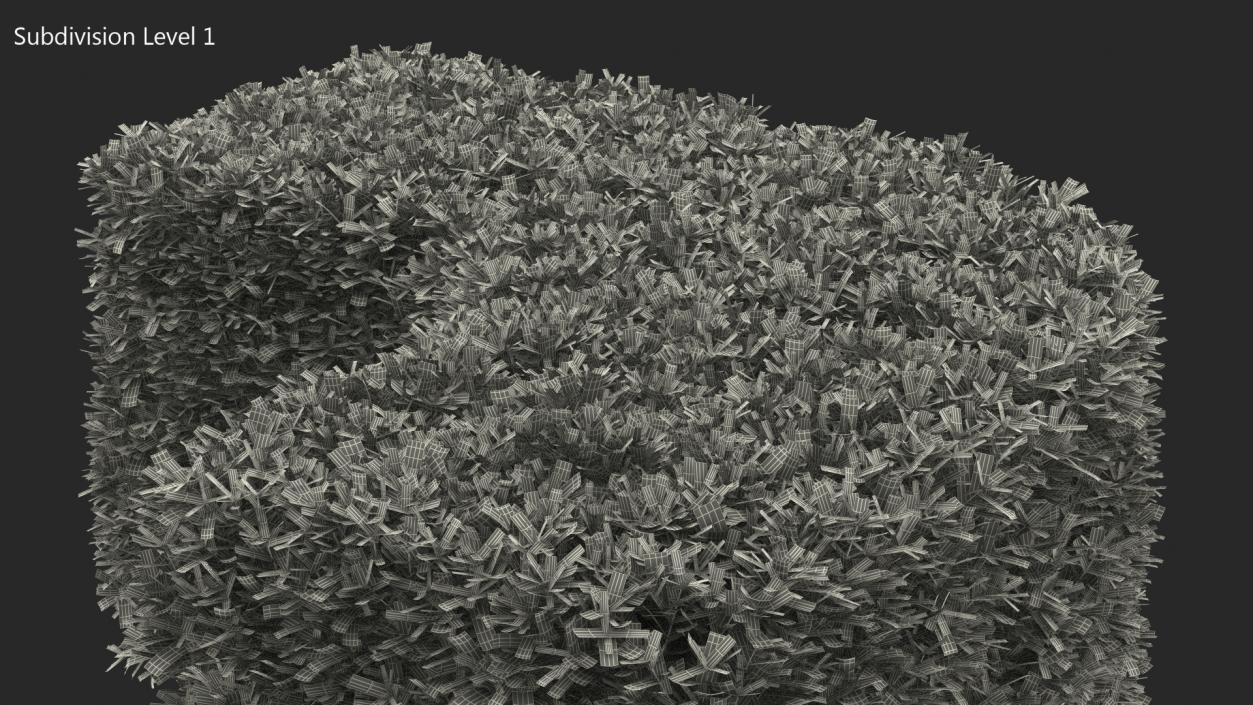 Boxwood Corner Bush 3D model