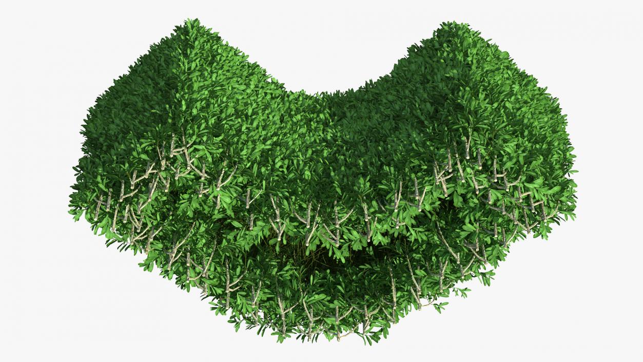 Boxwood Corner Bush 3D model