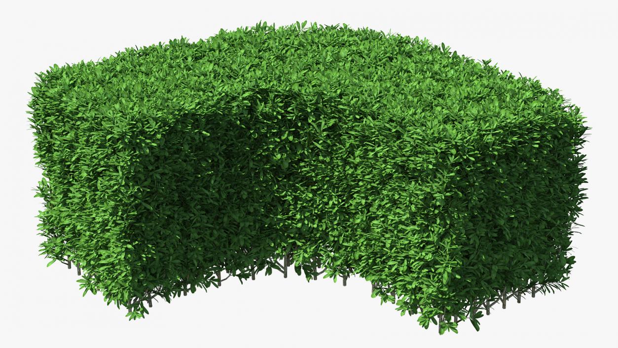 Boxwood Corner Bush 3D model