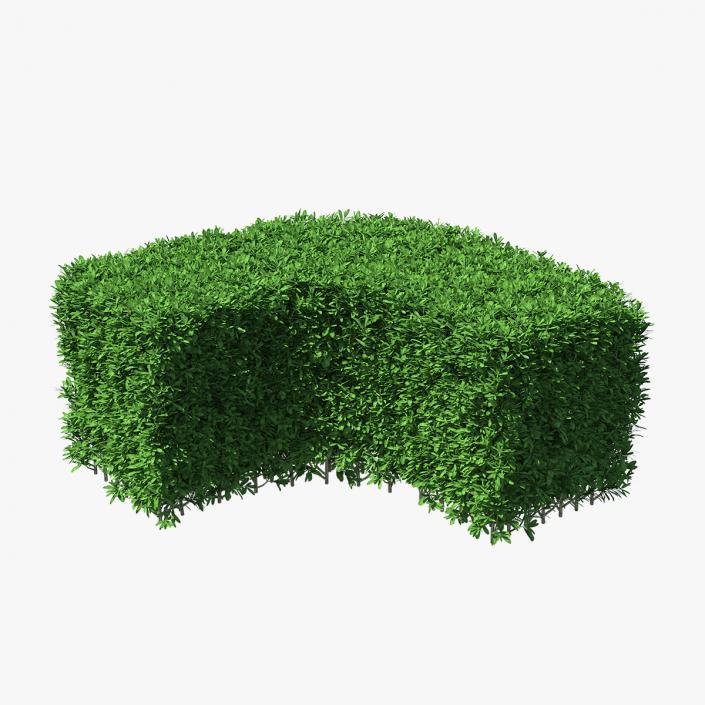 Boxwood Corner Bush 3D model