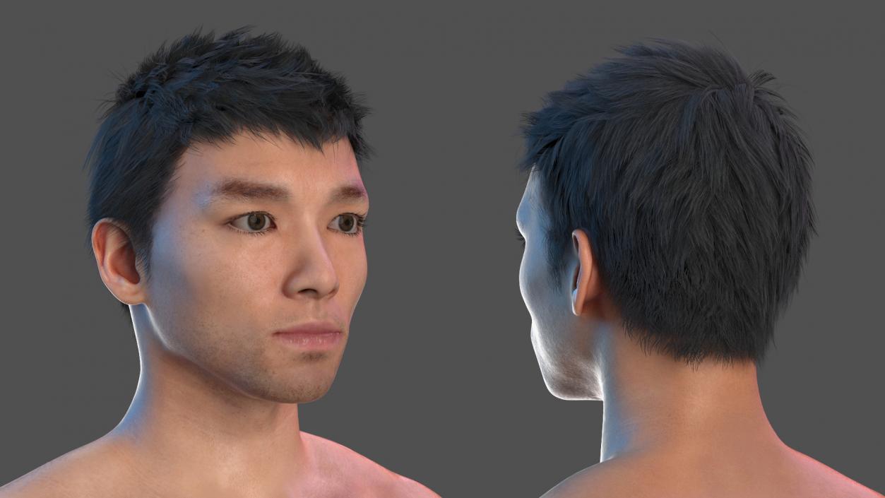 3D Asian Male Body Anatomy model