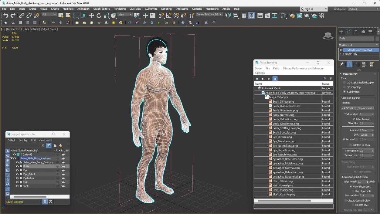 3D Asian Male Body Anatomy model