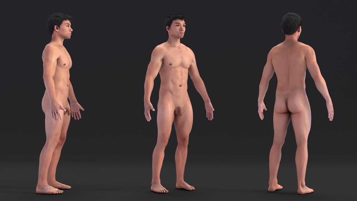 3D Asian Male Body Anatomy model