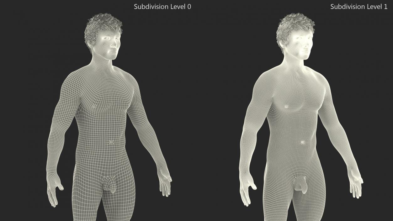 3D Asian Male Body Anatomy model