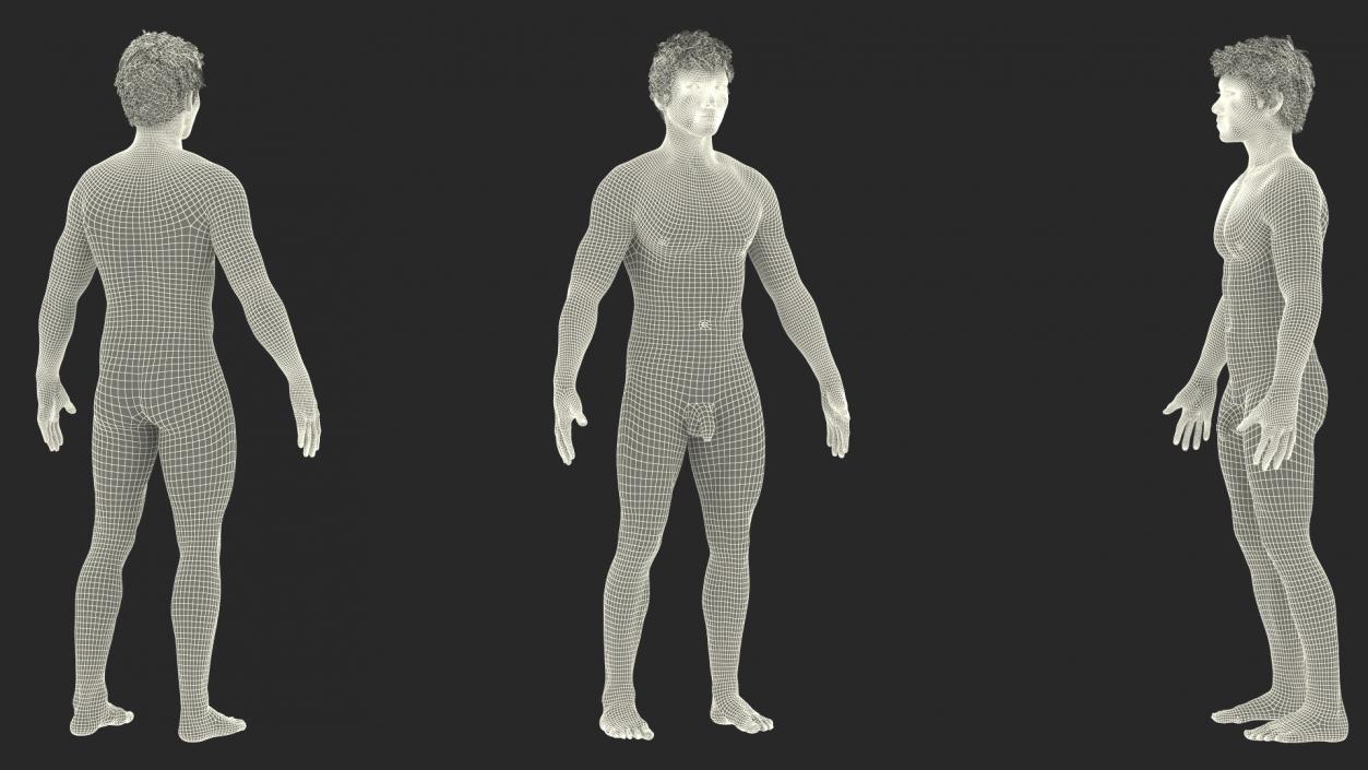 3D Asian Male Body Anatomy model