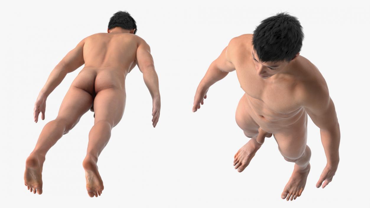 3D Asian Male Body Anatomy model