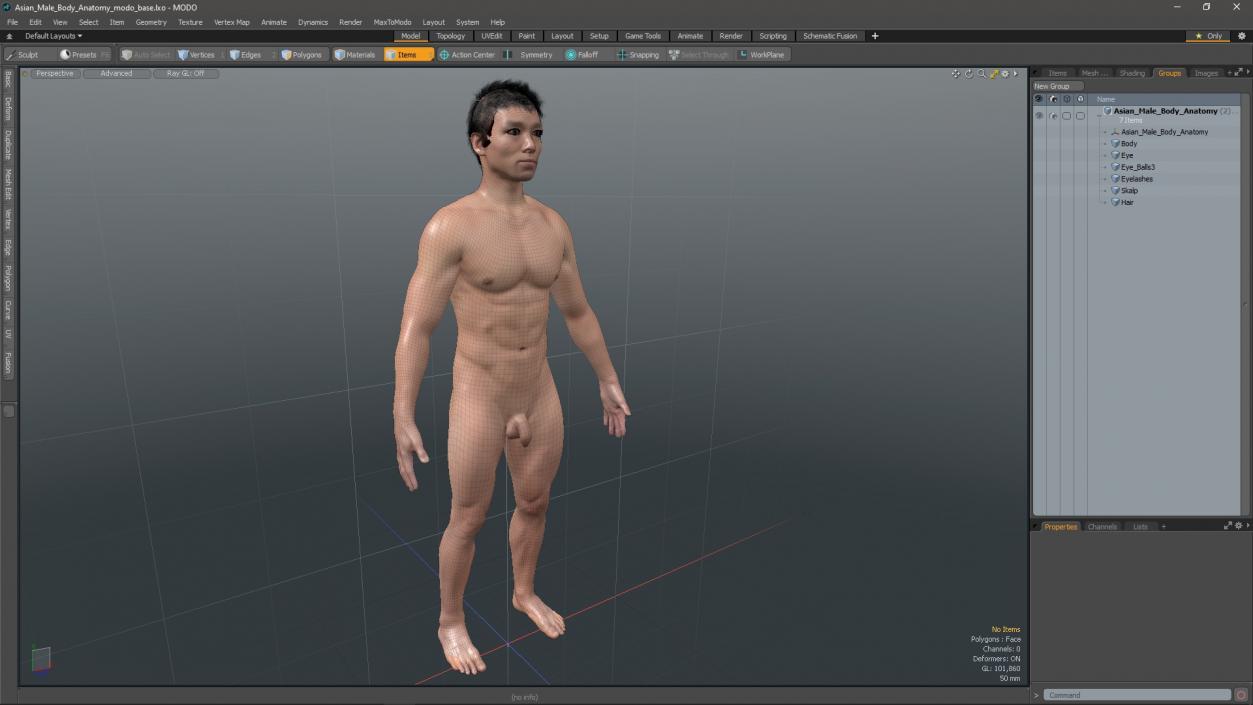 3D Asian Male Body Anatomy model