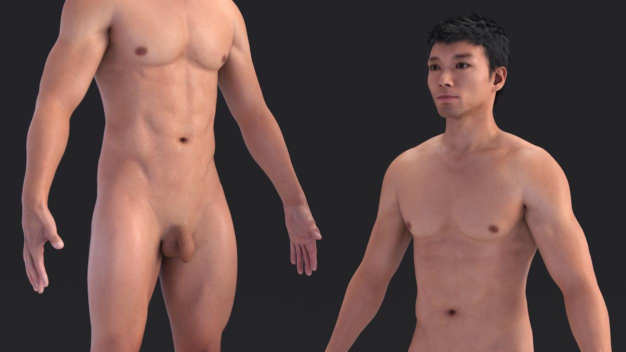 3D Asian Male Body Anatomy model