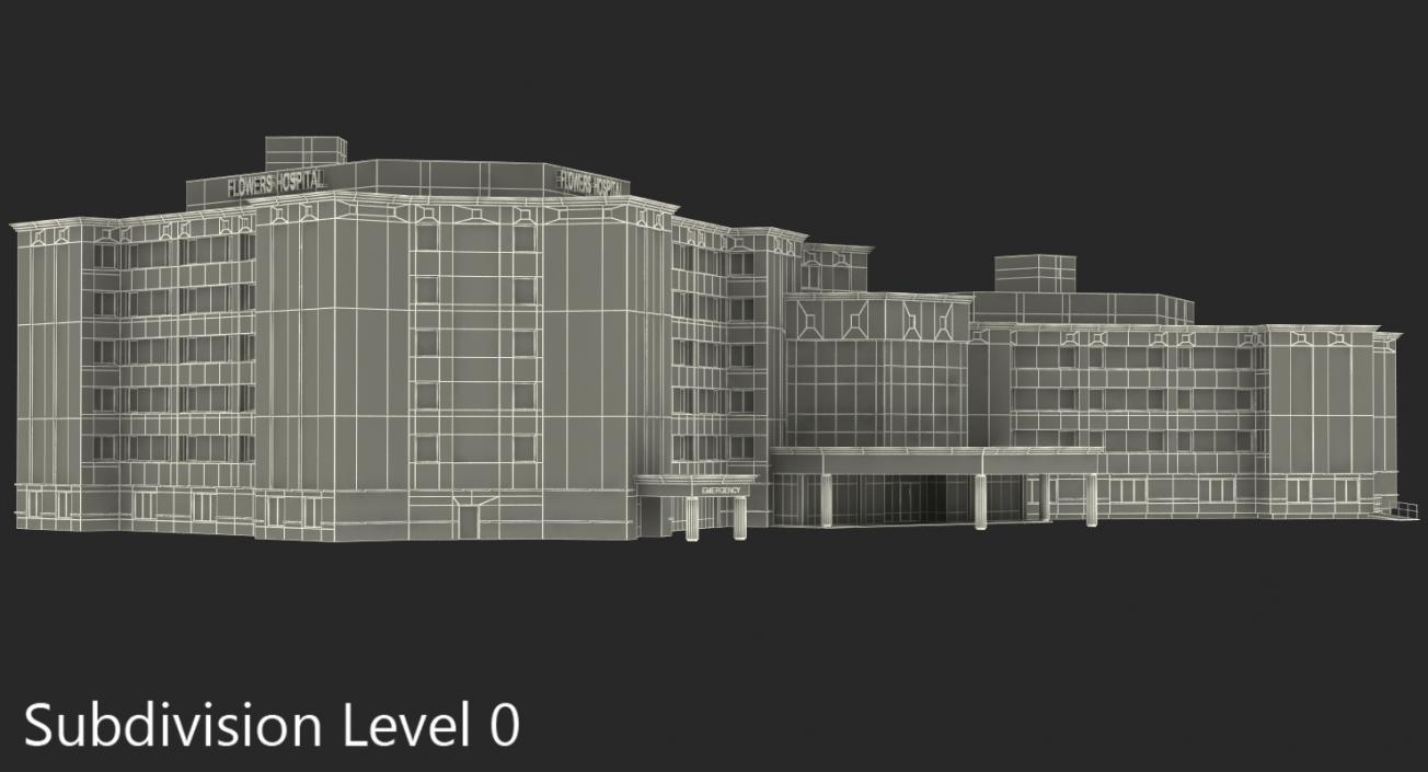 Hospital Building 3D