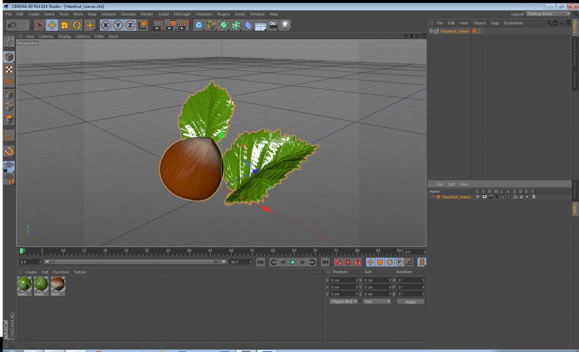 3D model Hazelnut Leaves