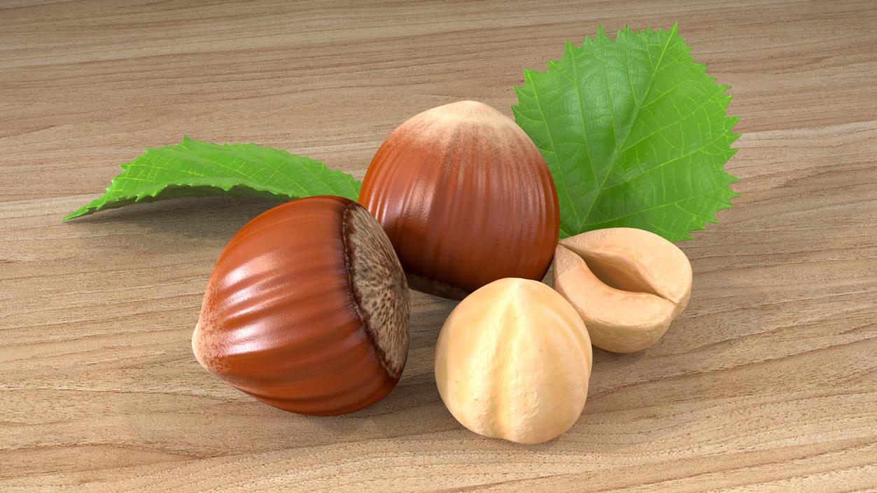 3D model Hazelnut Leaves