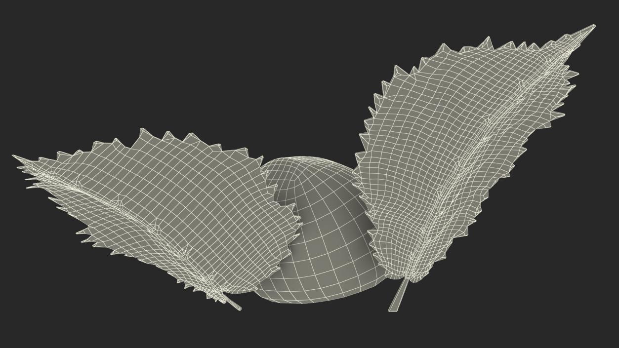 3D model Hazelnut Leaves