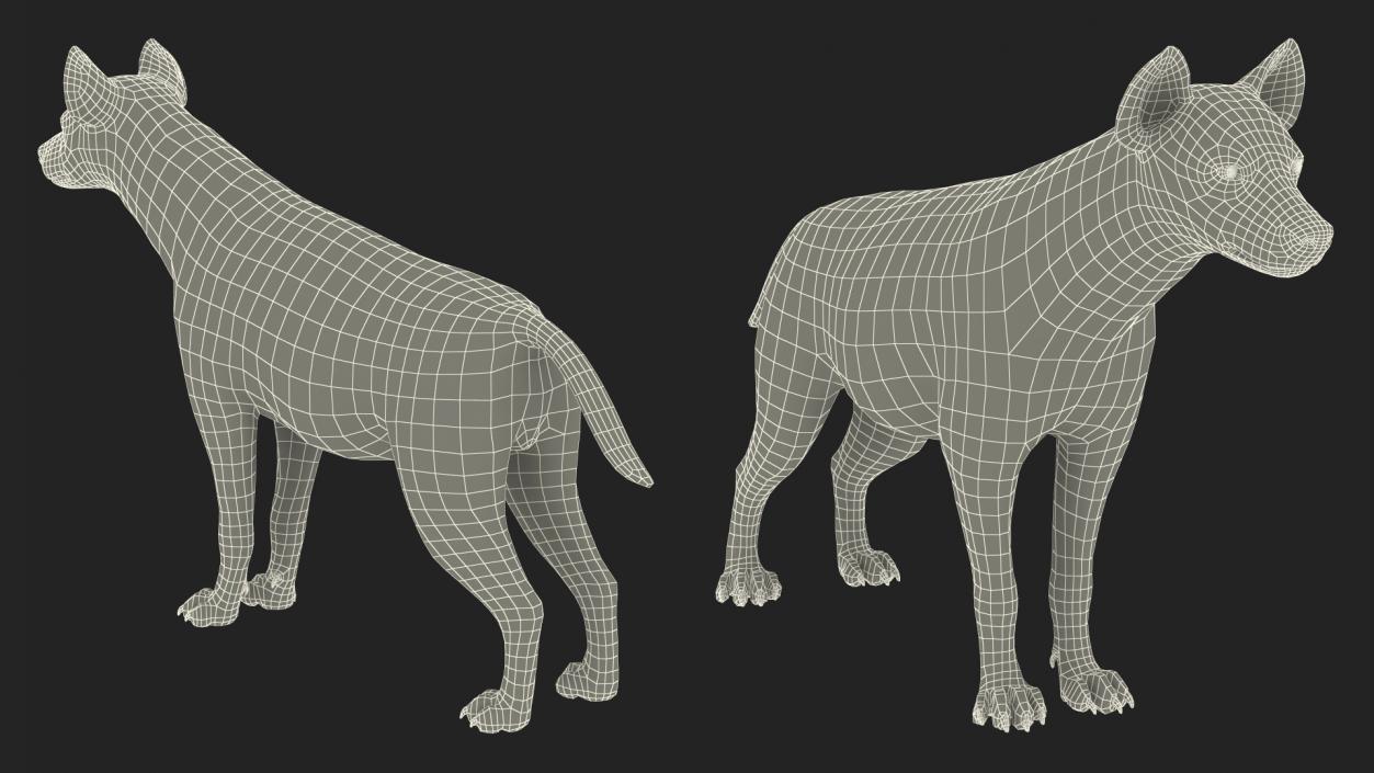 3D model Rigged African Animals Collection 9