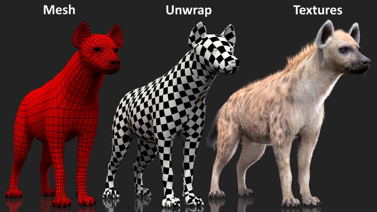 3D model Rigged African Animals Collection 9