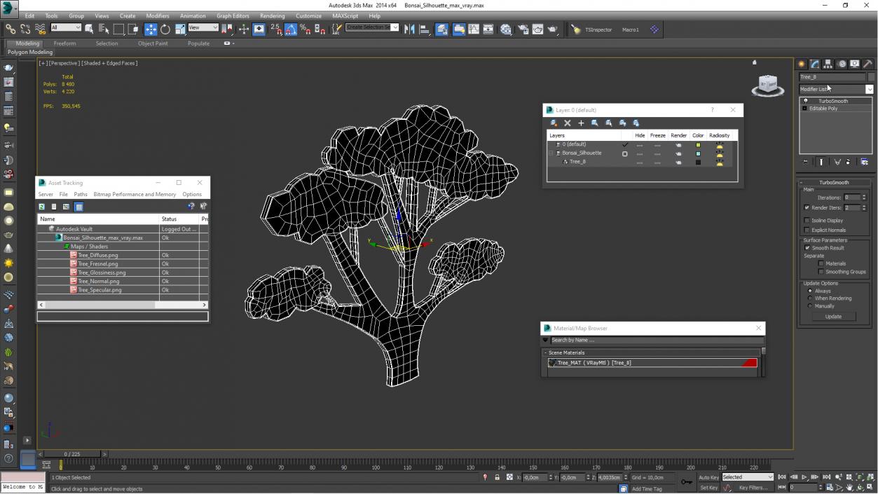 Bonsai Silhouette 3D