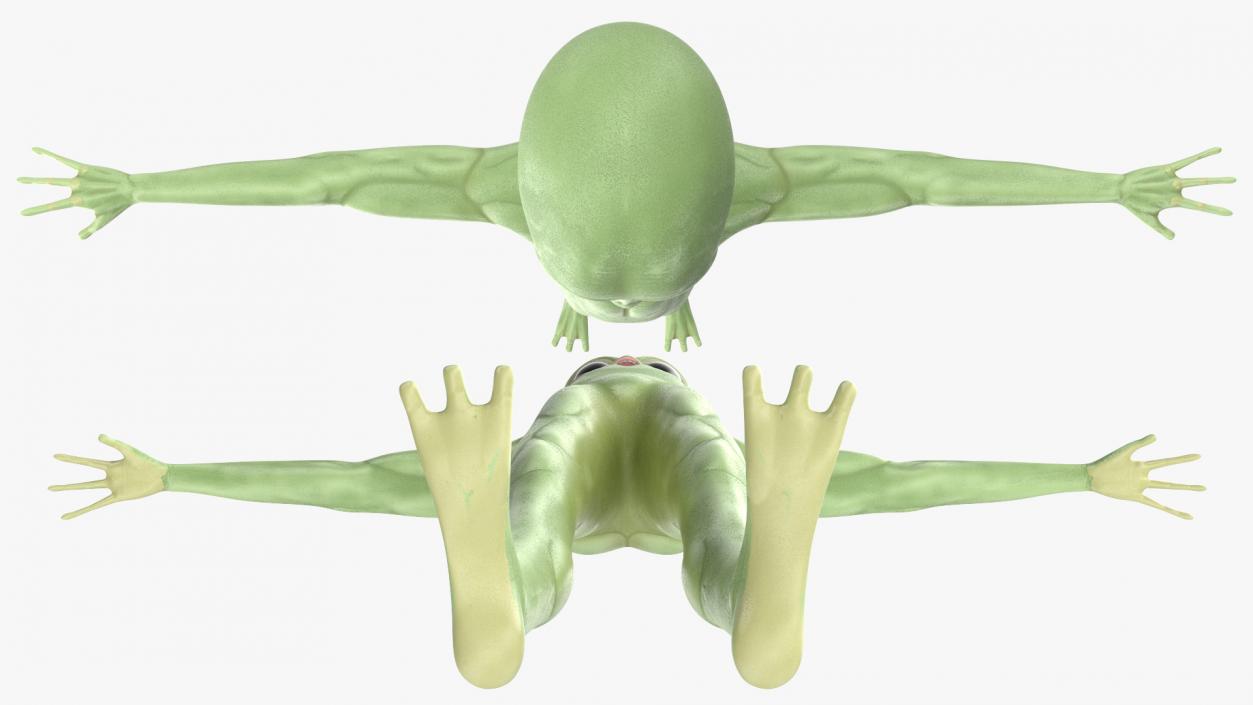 3D Cartoon Alien model