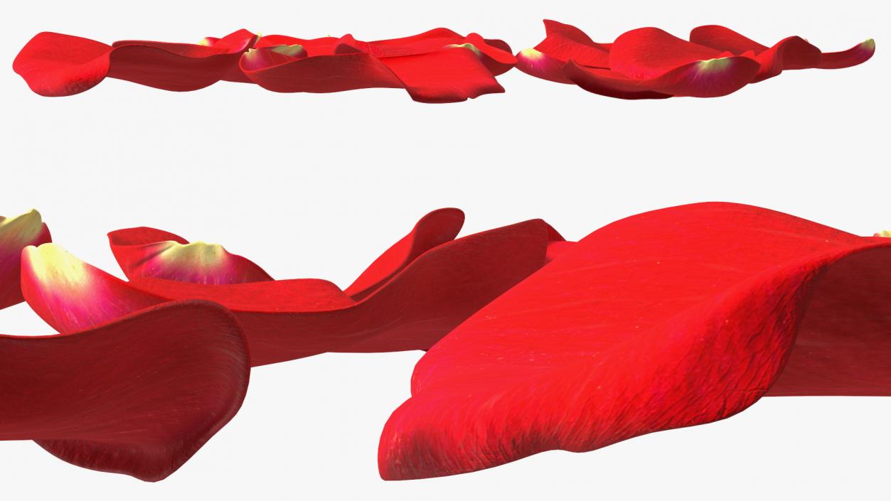 3D model Rose Petals Red