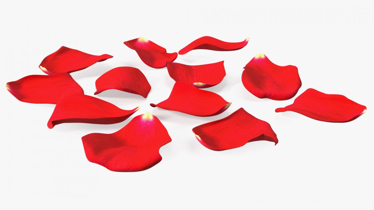 3D model Rose Petals Red