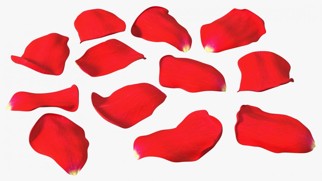 3D model Rose Petals Red