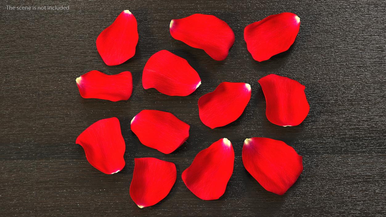 3D model Rose Petals Red