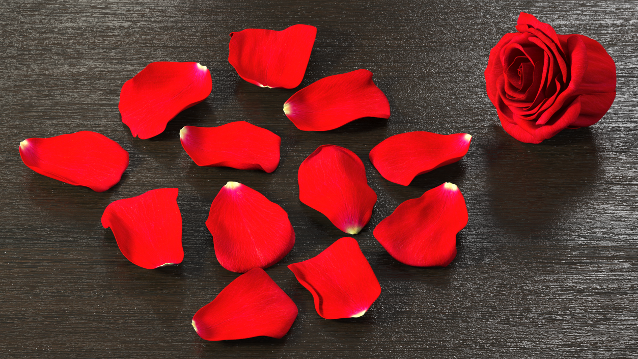 3D model Rose Petals Red