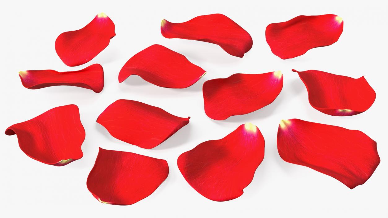 3D model Rose Petals Red