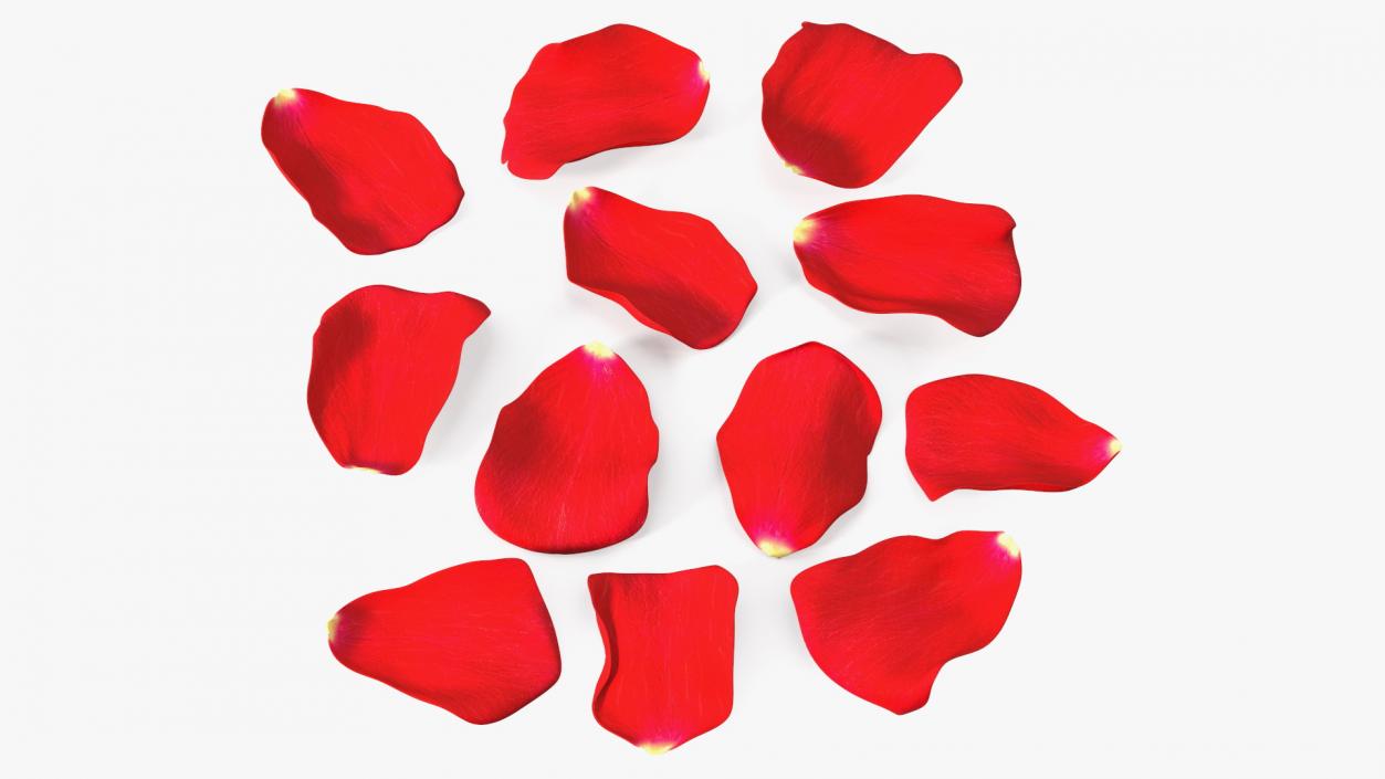 3D model Rose Petals Red